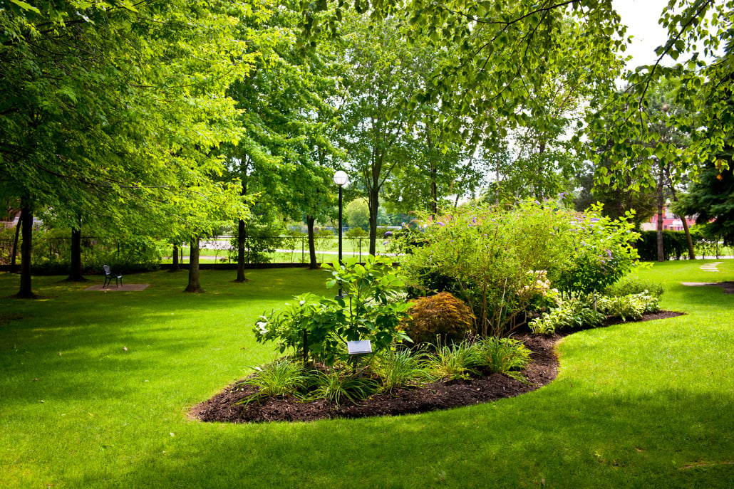 Beautiful Garden in the Park